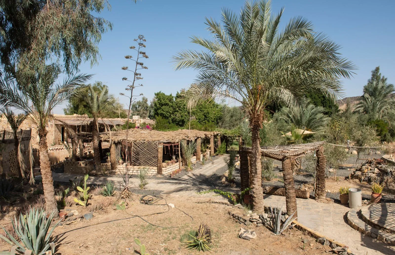 what is eco tourism and why is it important