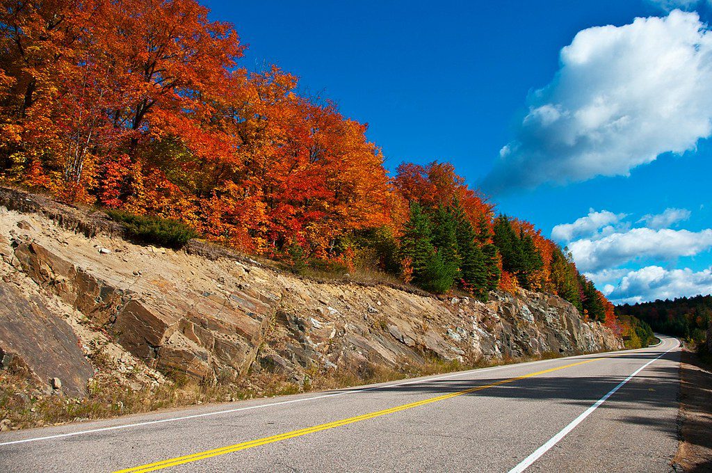 Algonquin Provincial Park ONTARIO