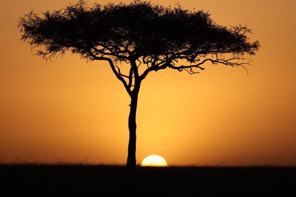 Places in Africa to See Sunrise