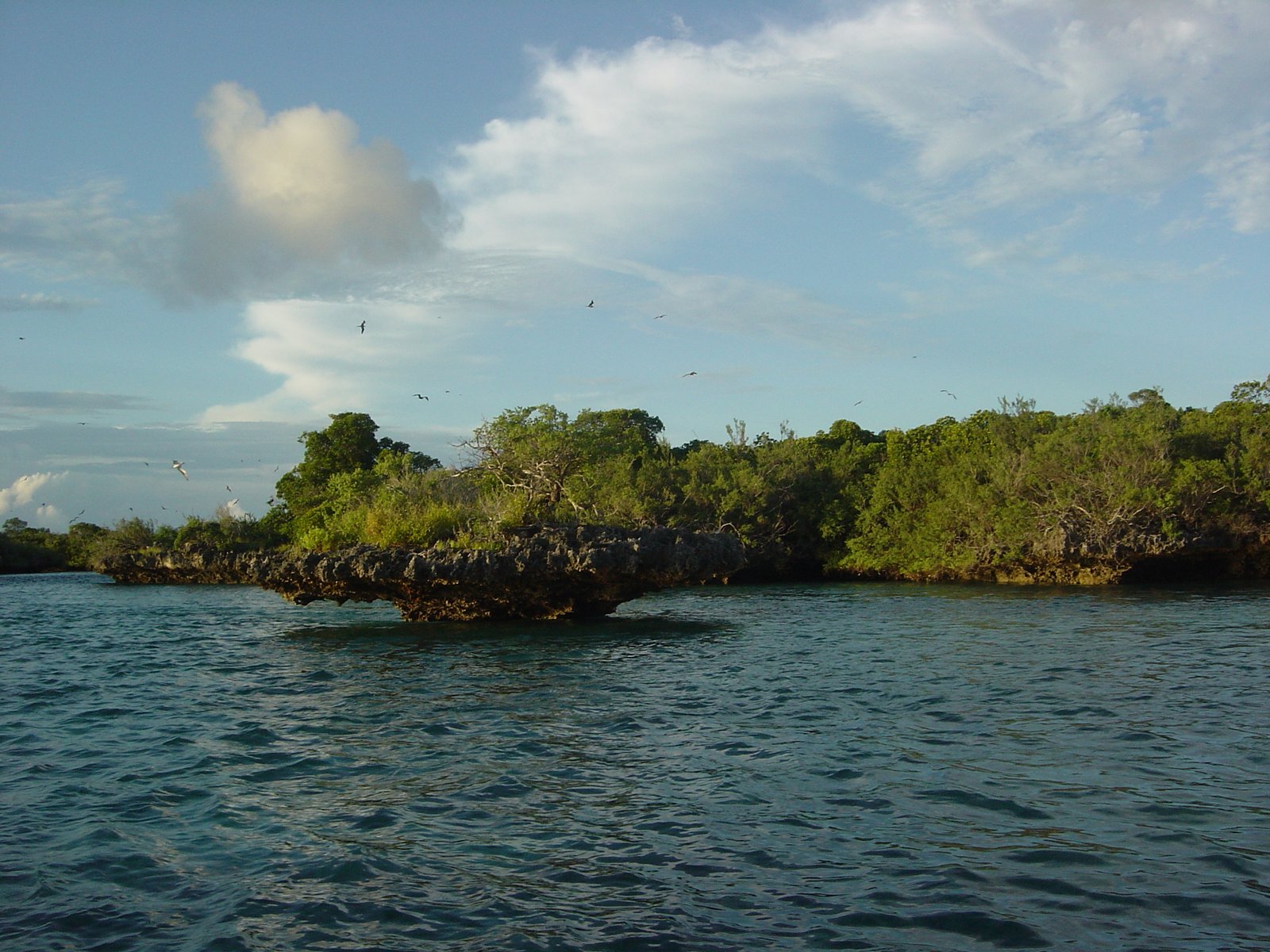  Aldabra Atoll