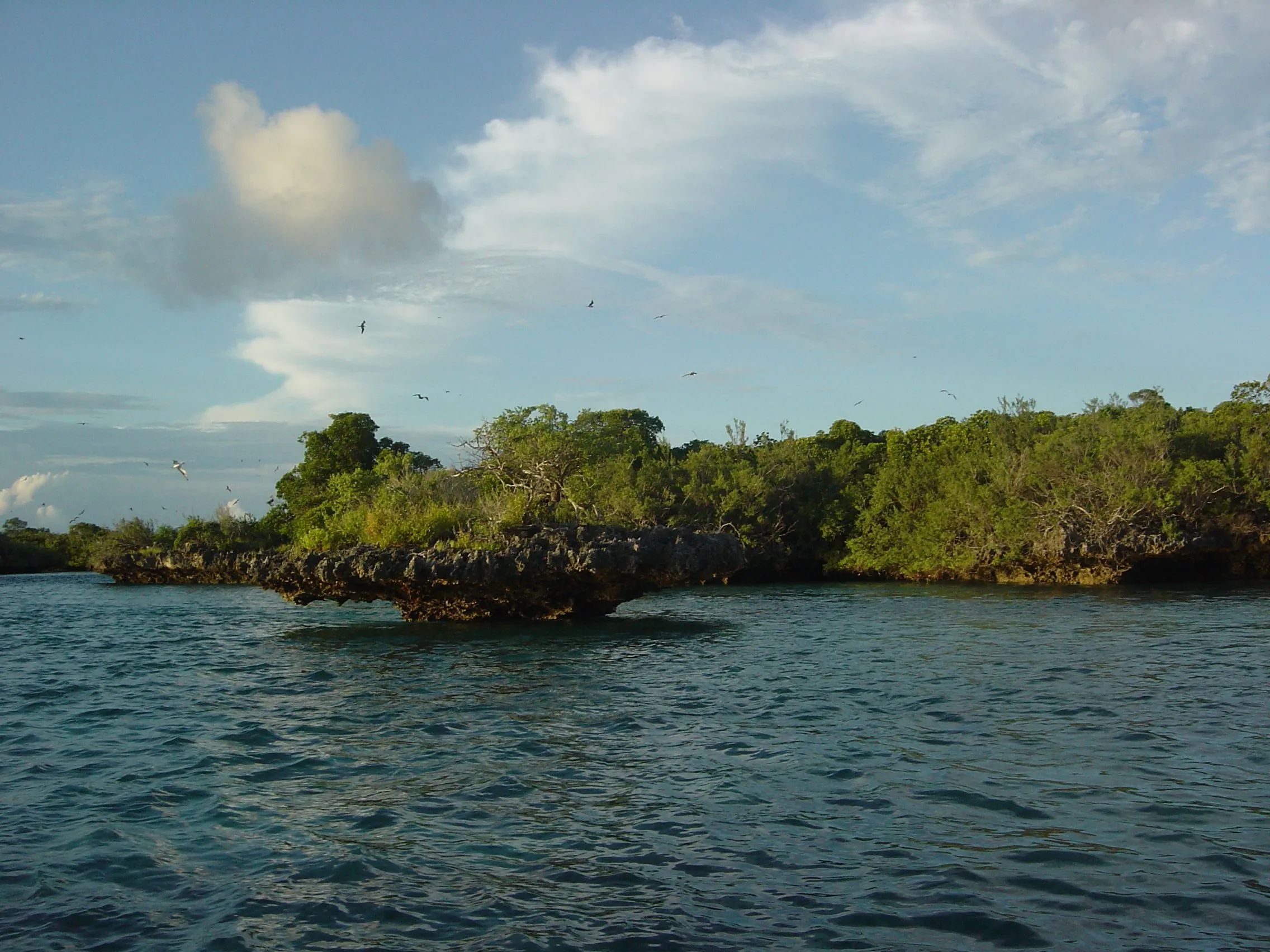 Aldabra Atoll