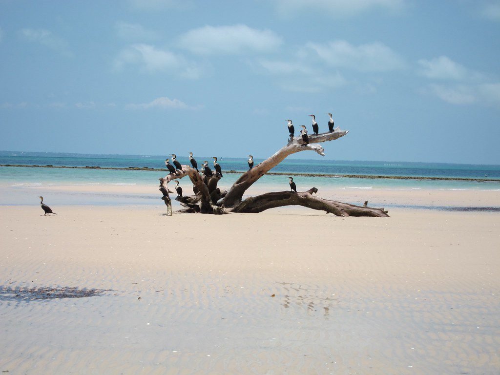 Nomadics Age | 15 Must-See Africa Honeymoon Destinations (Updated 2025)