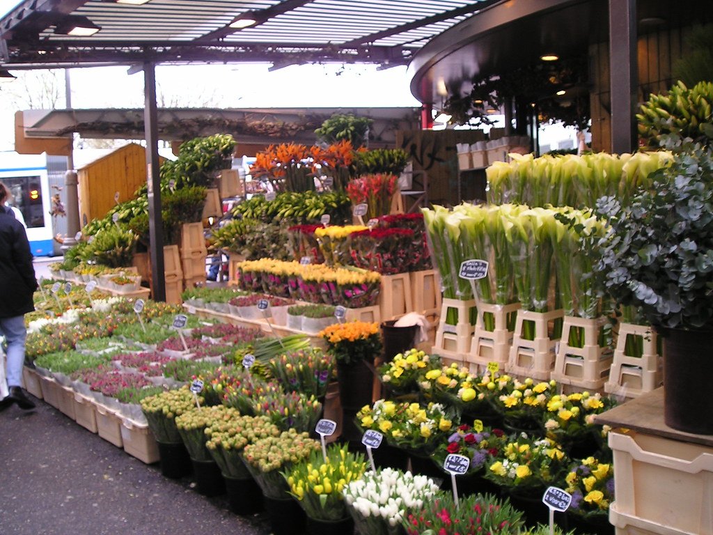 Bloemenmarkt (Flower Market) amsterdam