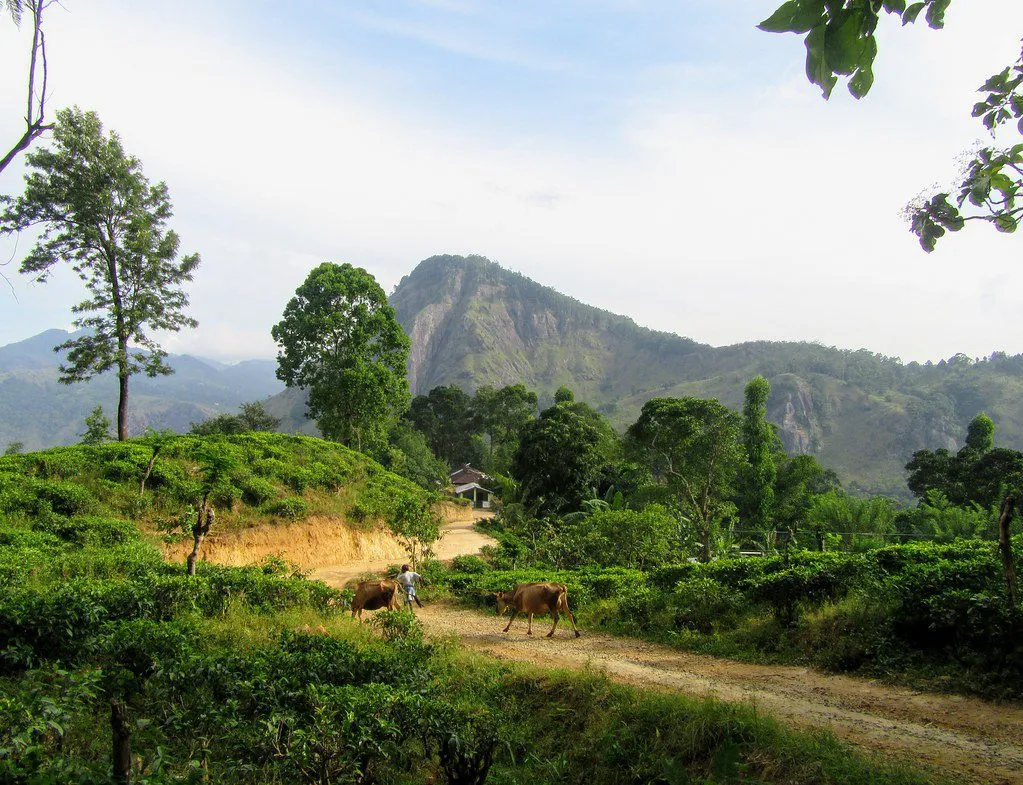 Ella Rock sri lanka