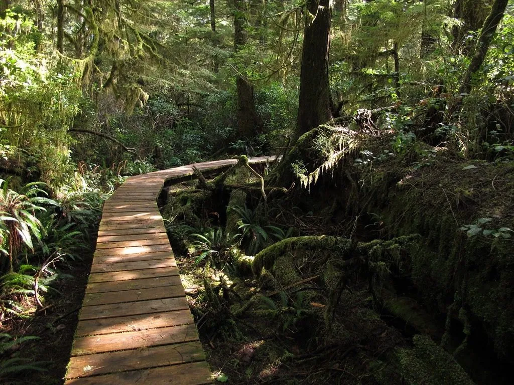 Pacific Rim National Park Reserve