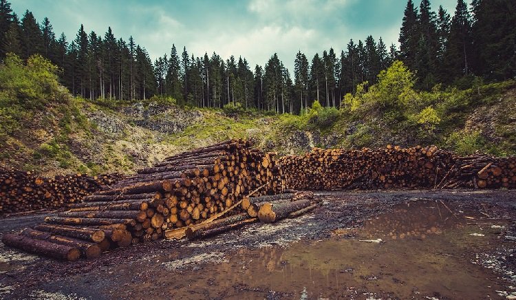 Responsible Travel and Sustainability: Protect BC’s Beauty