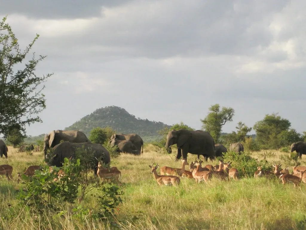 africa honeymoon destinations