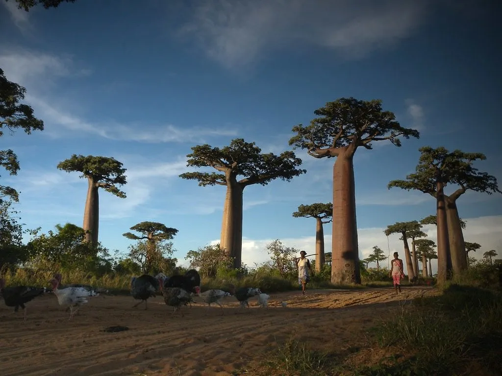 best Madagascar holiday destinations