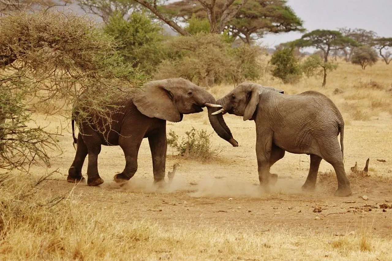 top places to visit in tanzania