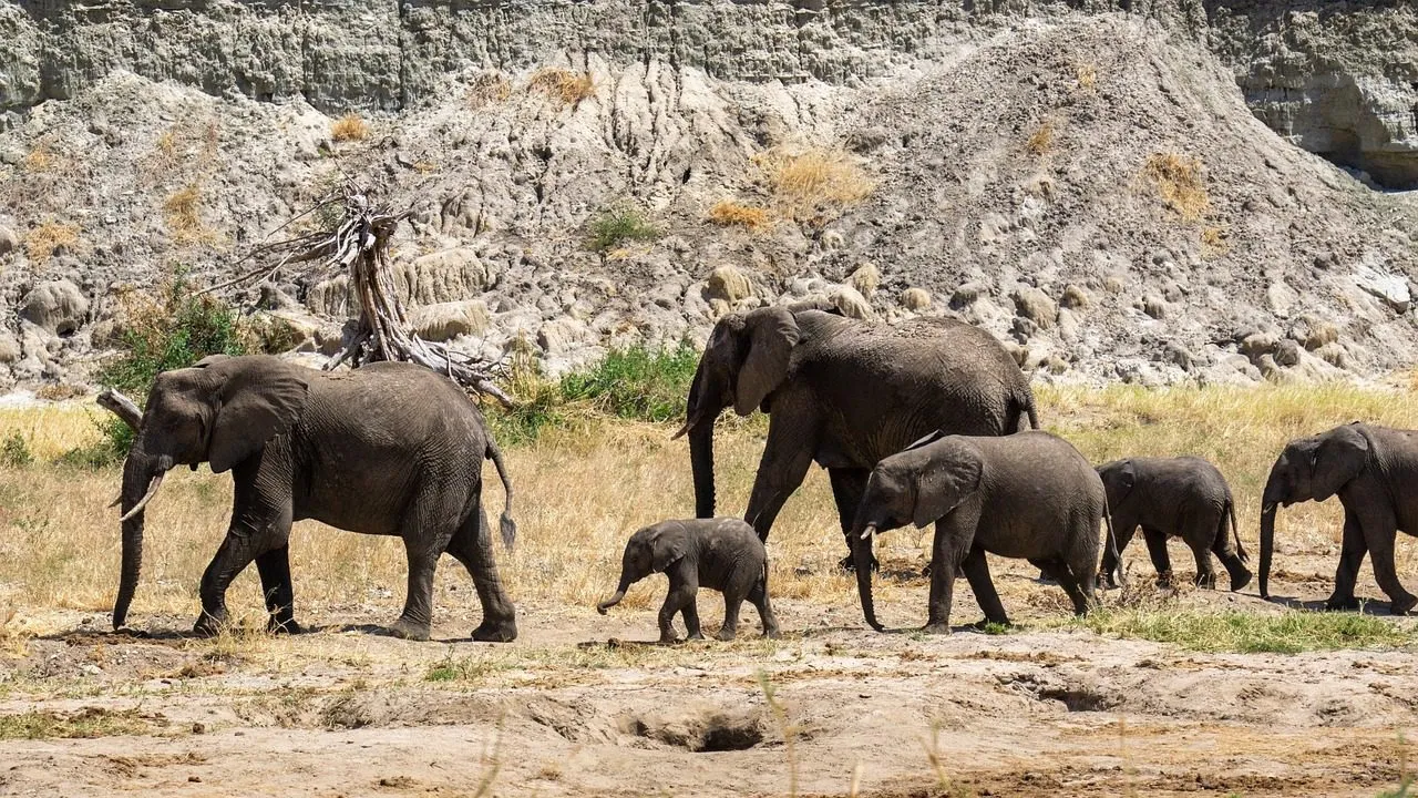 intimate honeymoon locations africa