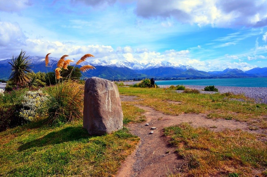 New Zealand's nature