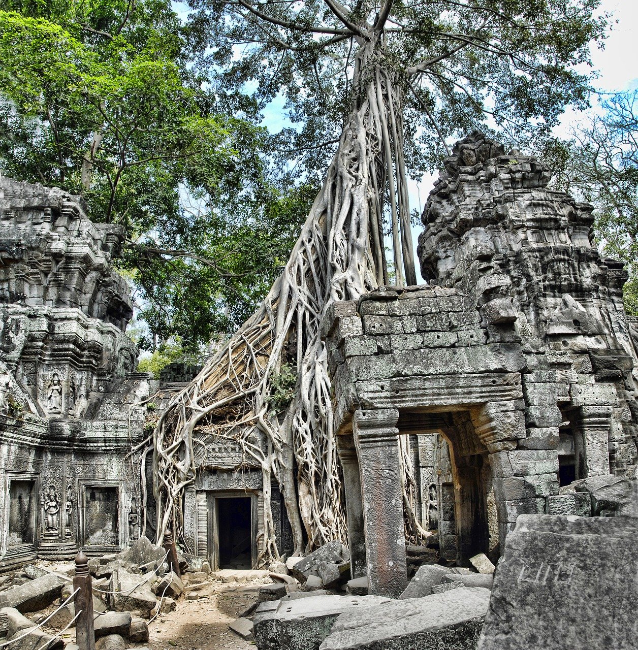 ta prohm, cambodia, angkor-2388126.jpg