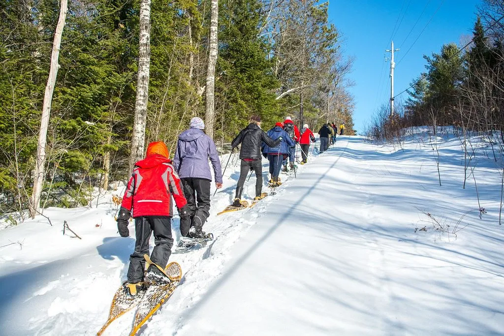 Snowshoeing in Algonquin Park