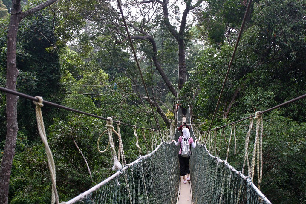 Taman Negara