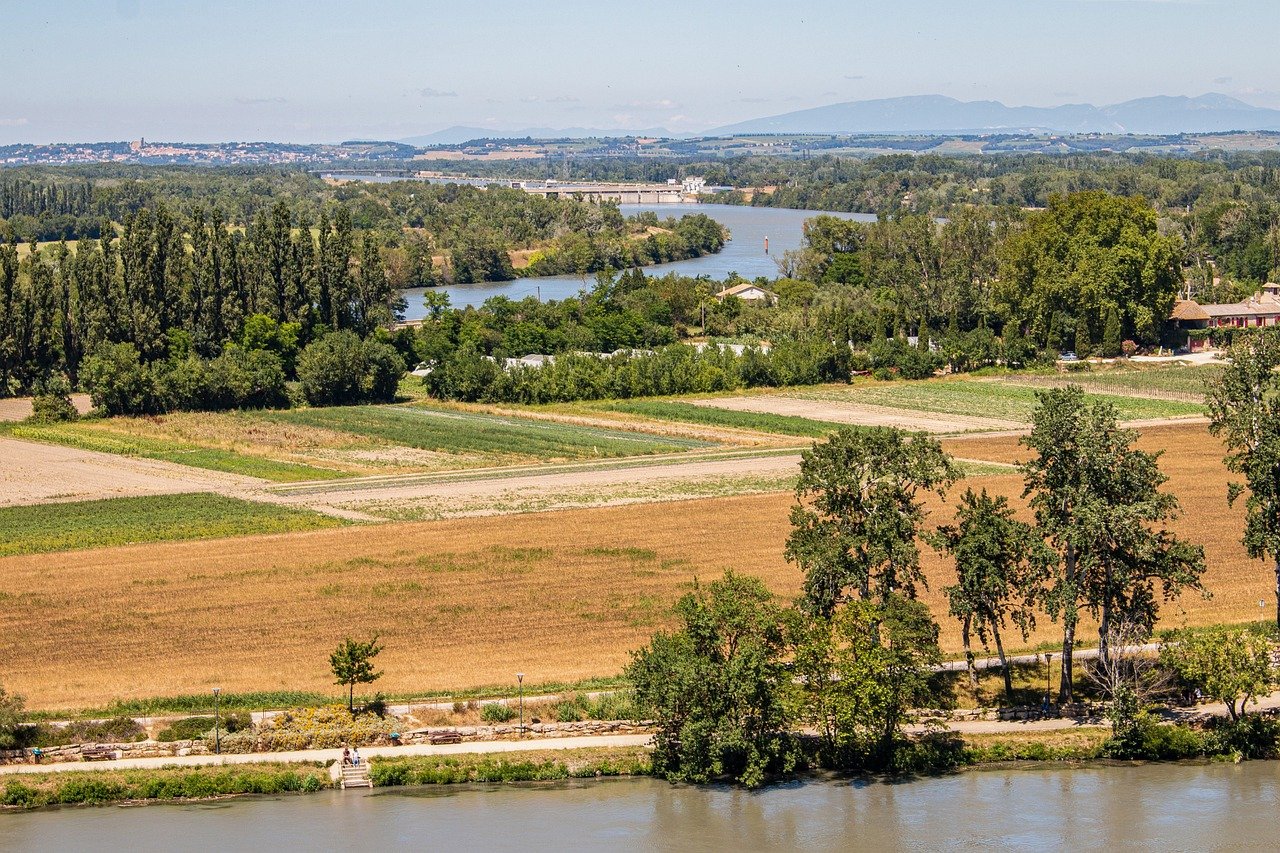 provence, avignon, nature-4706817.jpg