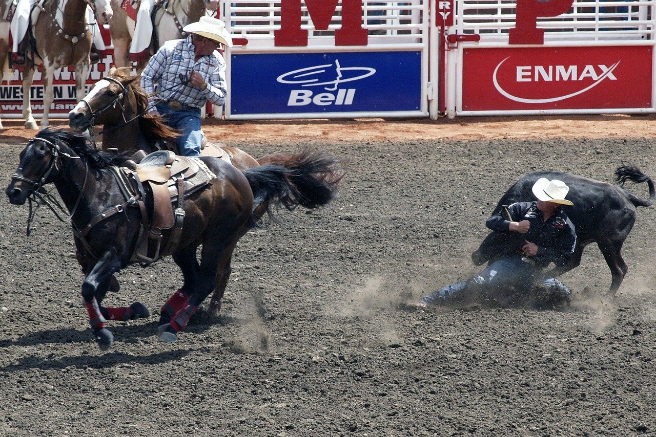 stampede, clagary, canada-52712.jpg