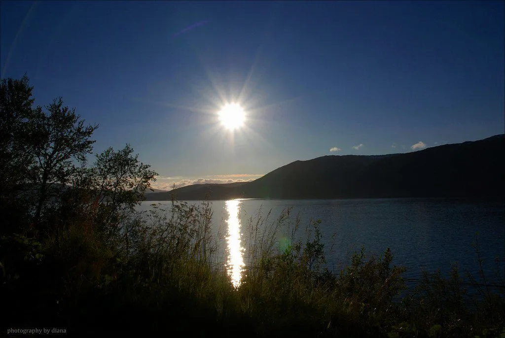 10 Cool Facts About Norway