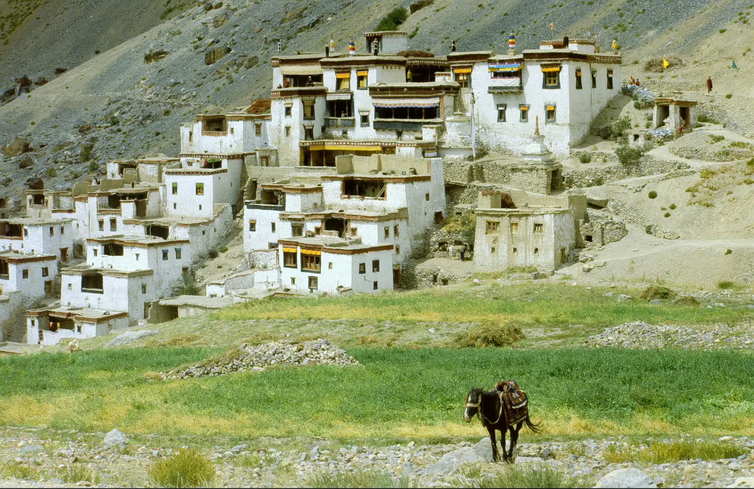 hidden villages of the Himalayas