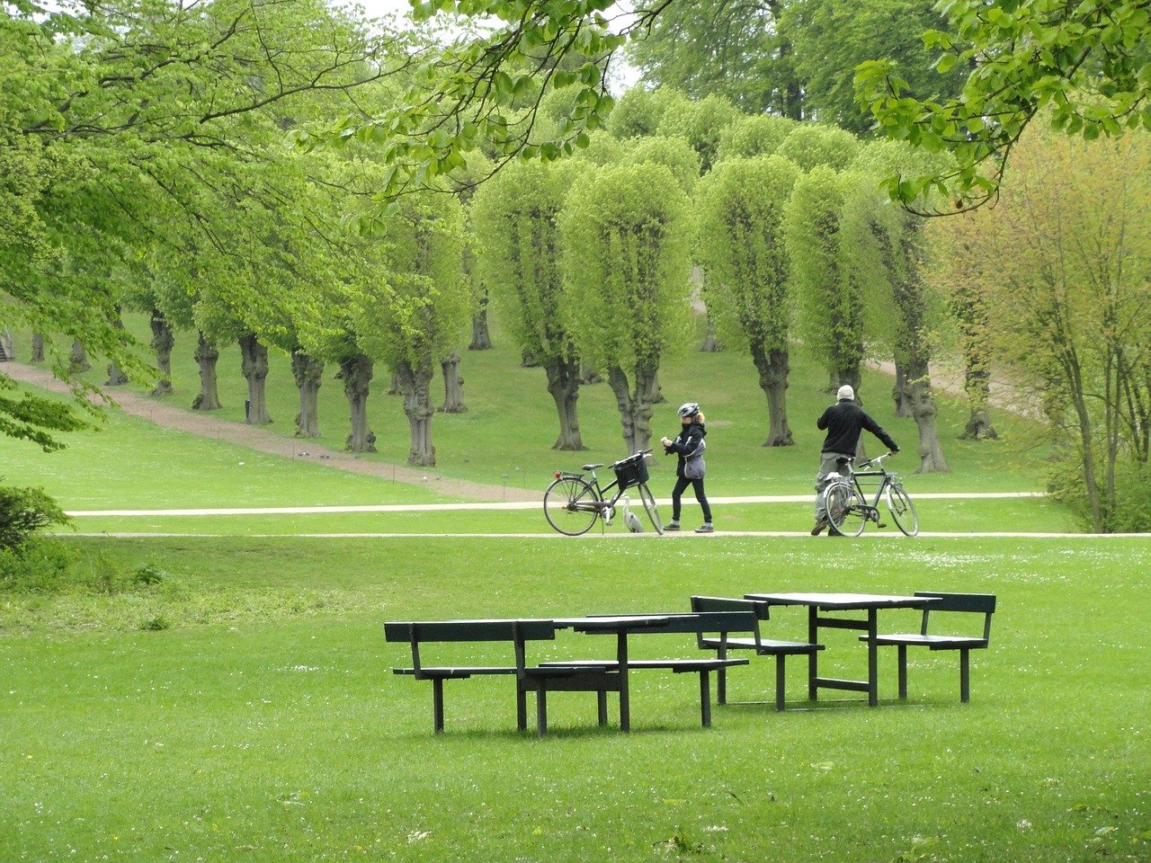 landscape, copenhagen, denmark, park, trees, grass, benches, seats, nature, outside, summer, spring, scenic, bicyclists, man, woman, copenhagen, denmark, denmark, denmark, denmark, denmark, woman, woman, woman-85206.jpg