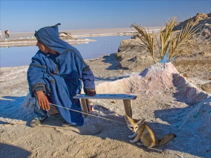 Chott el Jerid Tunisia