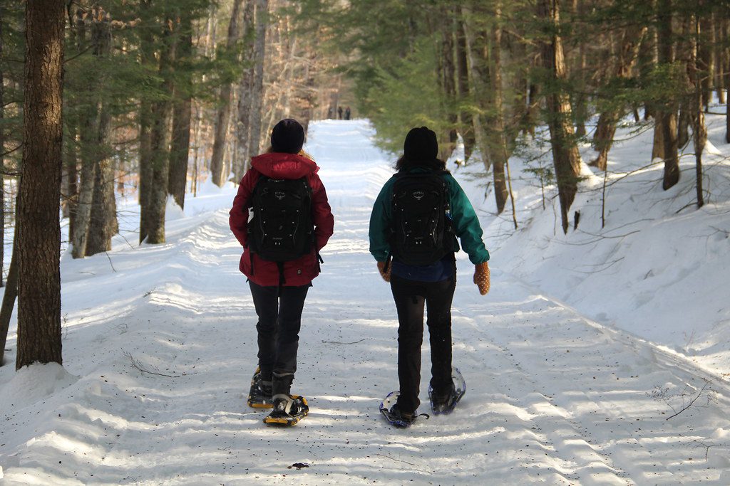 5 Incredible Adventures to Embrace The Magic of Winter 2 5 Incredible Adventures to Embrace The Magic of Winter