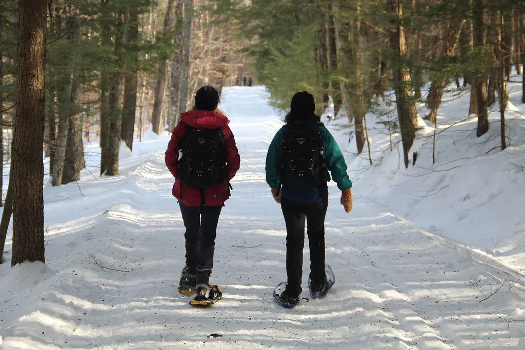 5 Incredible Adventures to Embrace The Magic of Winter