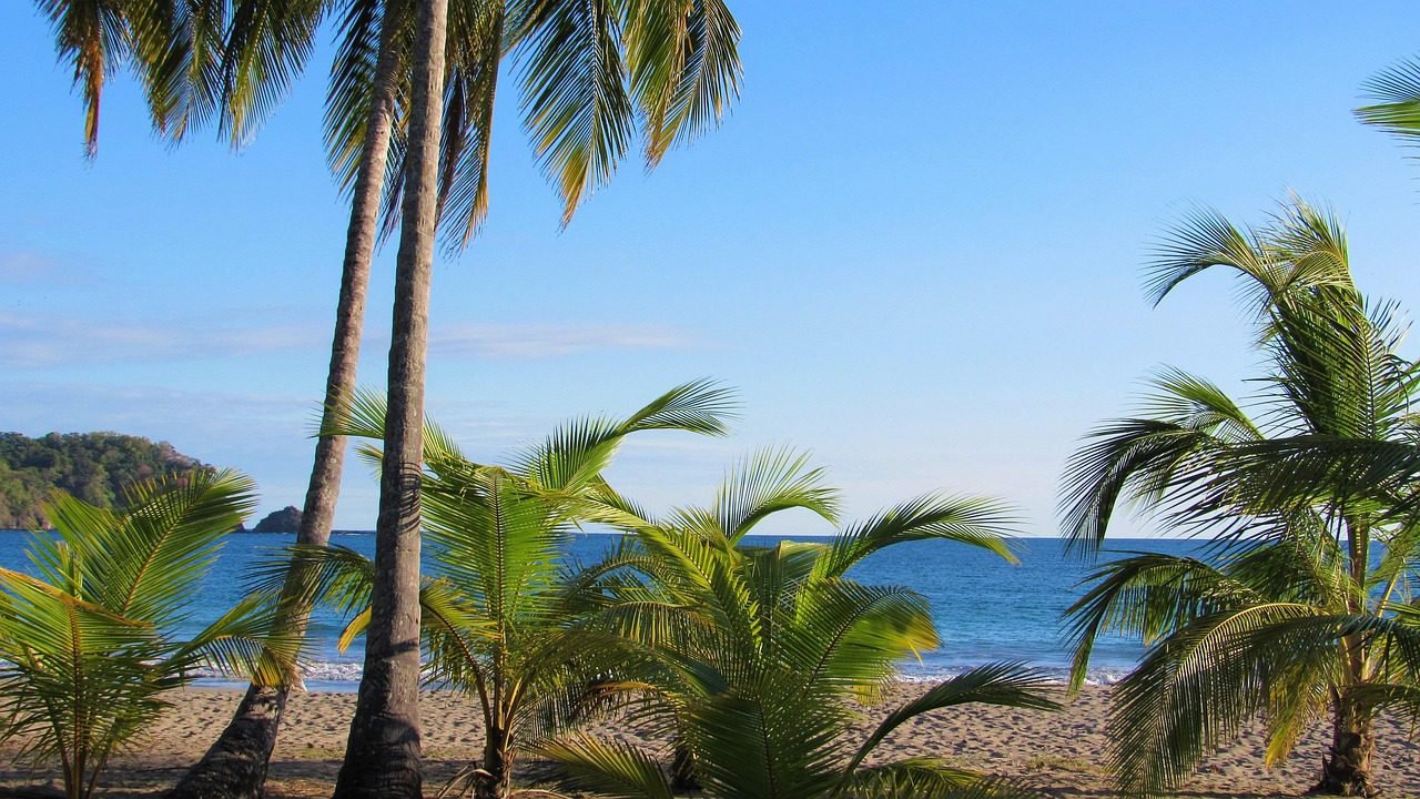 beach, playa carrillo, costa rica, palm tree, costa rica, costa rica, costa rica, nature, costa rica, costa rica-4746787.jpg