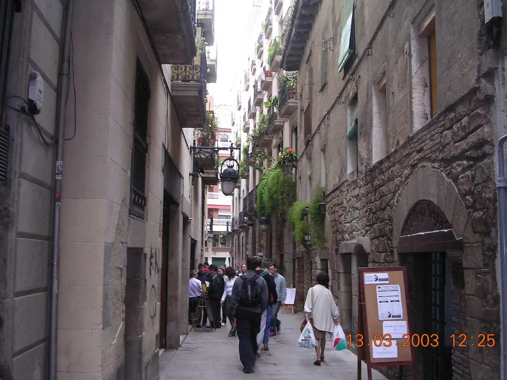 the Gothic Quarter (Barri Gòtic)