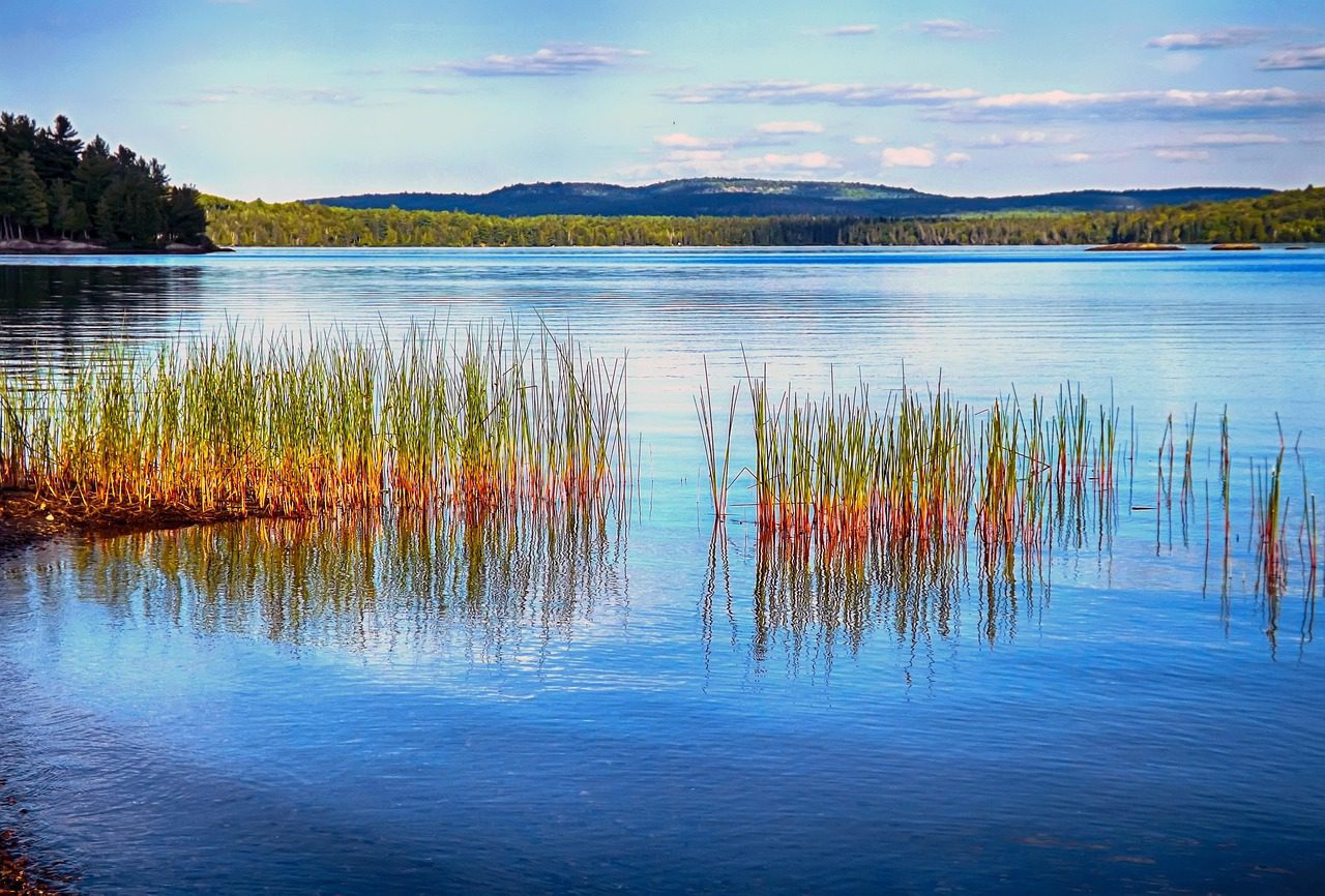 algonquin park, provincial parks, lakes, canadian, nature, blue park, algonquin park, algonquin park, algonquin park, algonquin park, algonquin park-790047.jpg