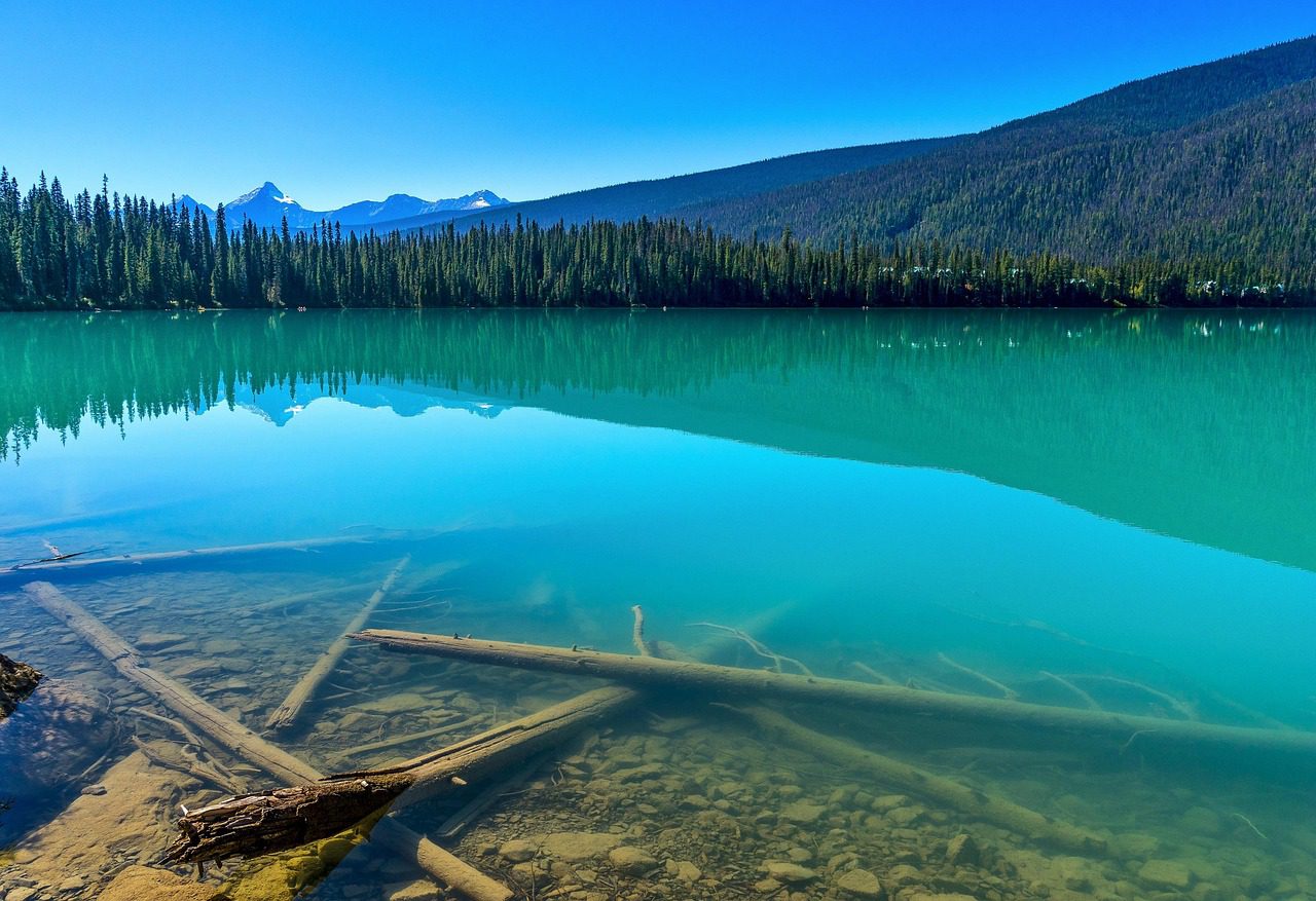 lake, mountains, travel destination, tourist attraction, water, water reflection, scenery, scenic, countryside, nature, emerald lake, yoho national park, british columbia, canada-5701891.jpg