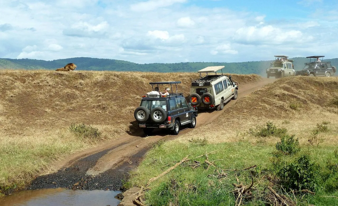 safari, watching game, jeep, nature, lion, off road, unpaved, tanzania, ngorongoro crater, national park, tourism, transport