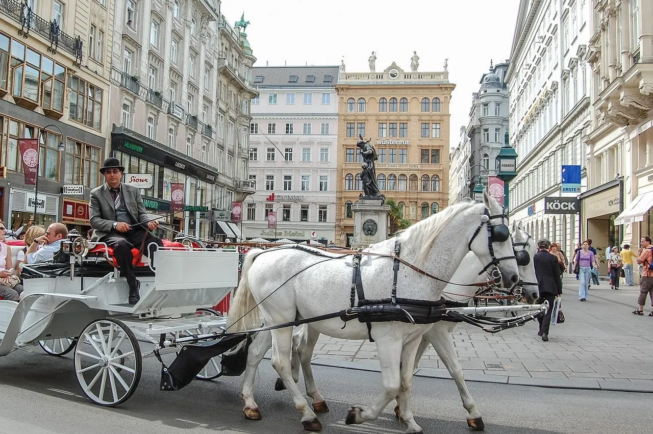 cab-carriage-horses-vienna-austria-to-travel-vienna-vienna-vienna-vienna-vienna-427926