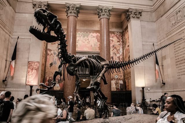 NYC Museums and Cultural Institutions
