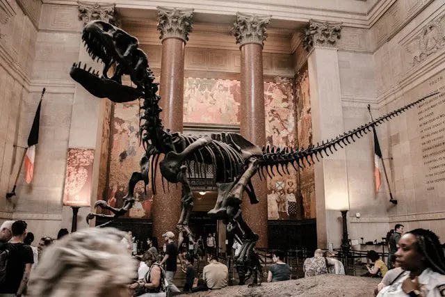 NYC Museums and Cultural Institutions