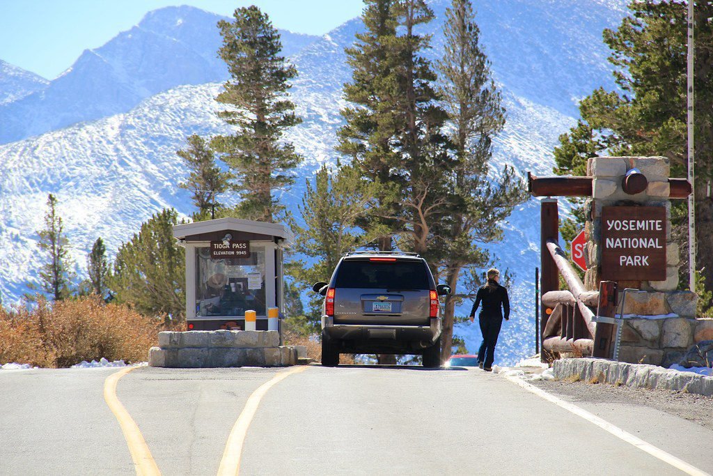  | Best Things to Do in Yosemite With Kids 2025 Image Alt 