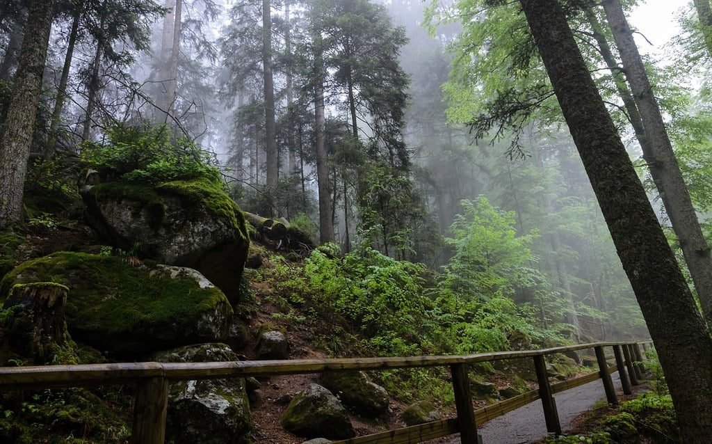 A scenic view of the Triberg Waterfalls in the Black Forest, Germany