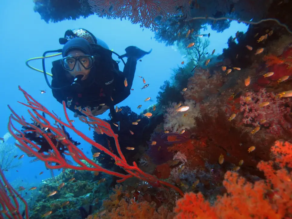 A diver in Raja Ampat seascape