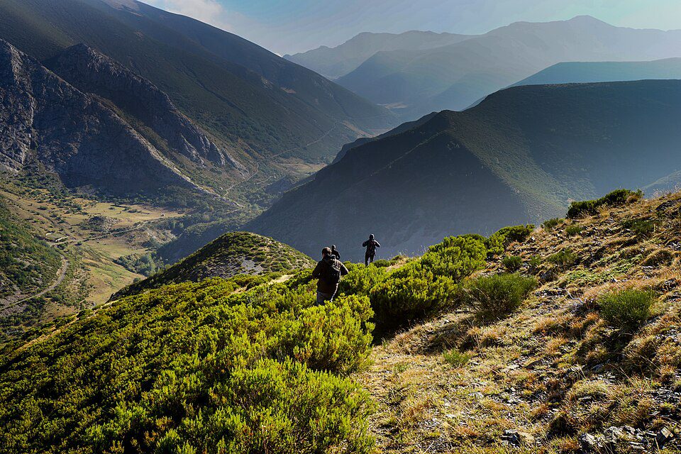 In search of Wolves in the Picos de Europa