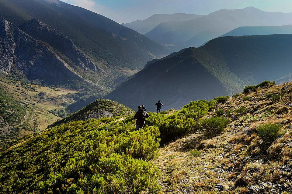 In search of Wolves in the Picos de Europa