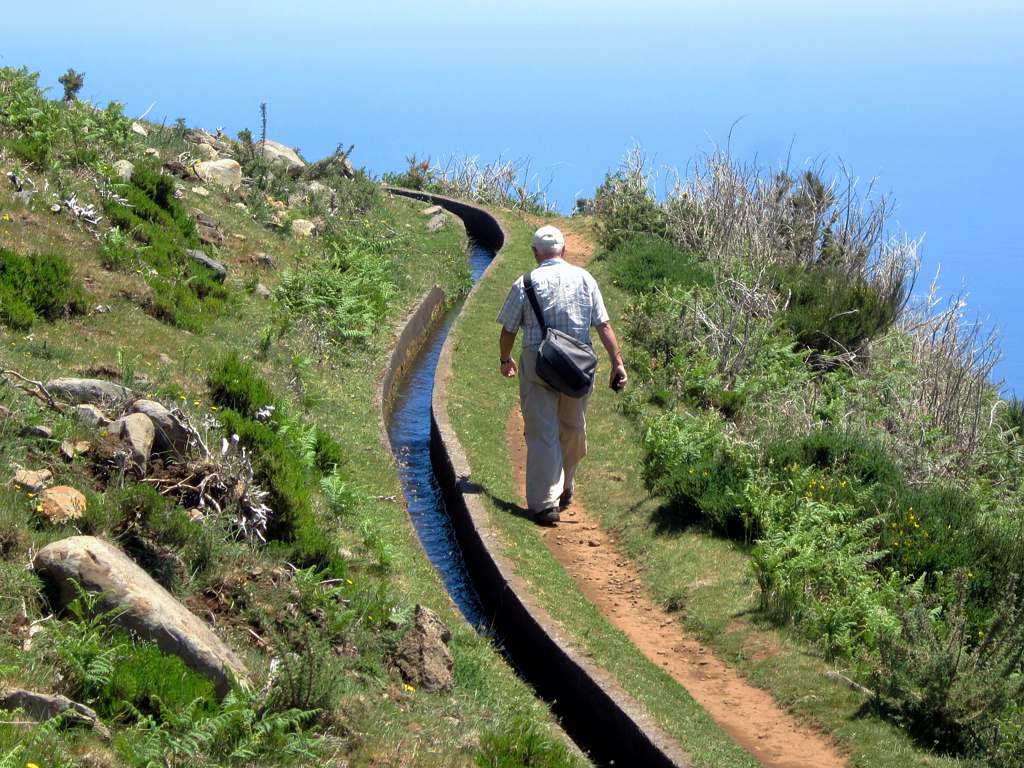 Remote Working in Madeira