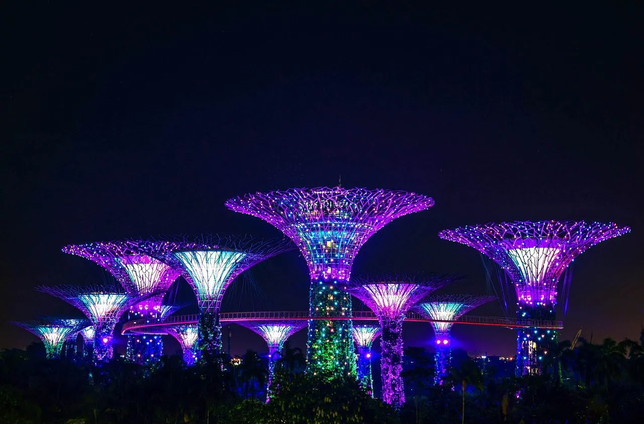 city-park-singapore-night-singapore-singapore-singapore-singapore-singapore-2583969