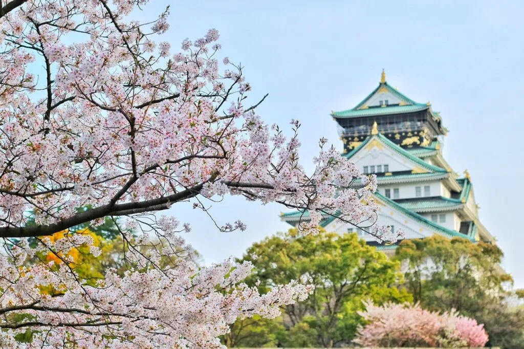 Tokyo Sakura 2025: See Cherry Blossoms - Full Bloom in Japan