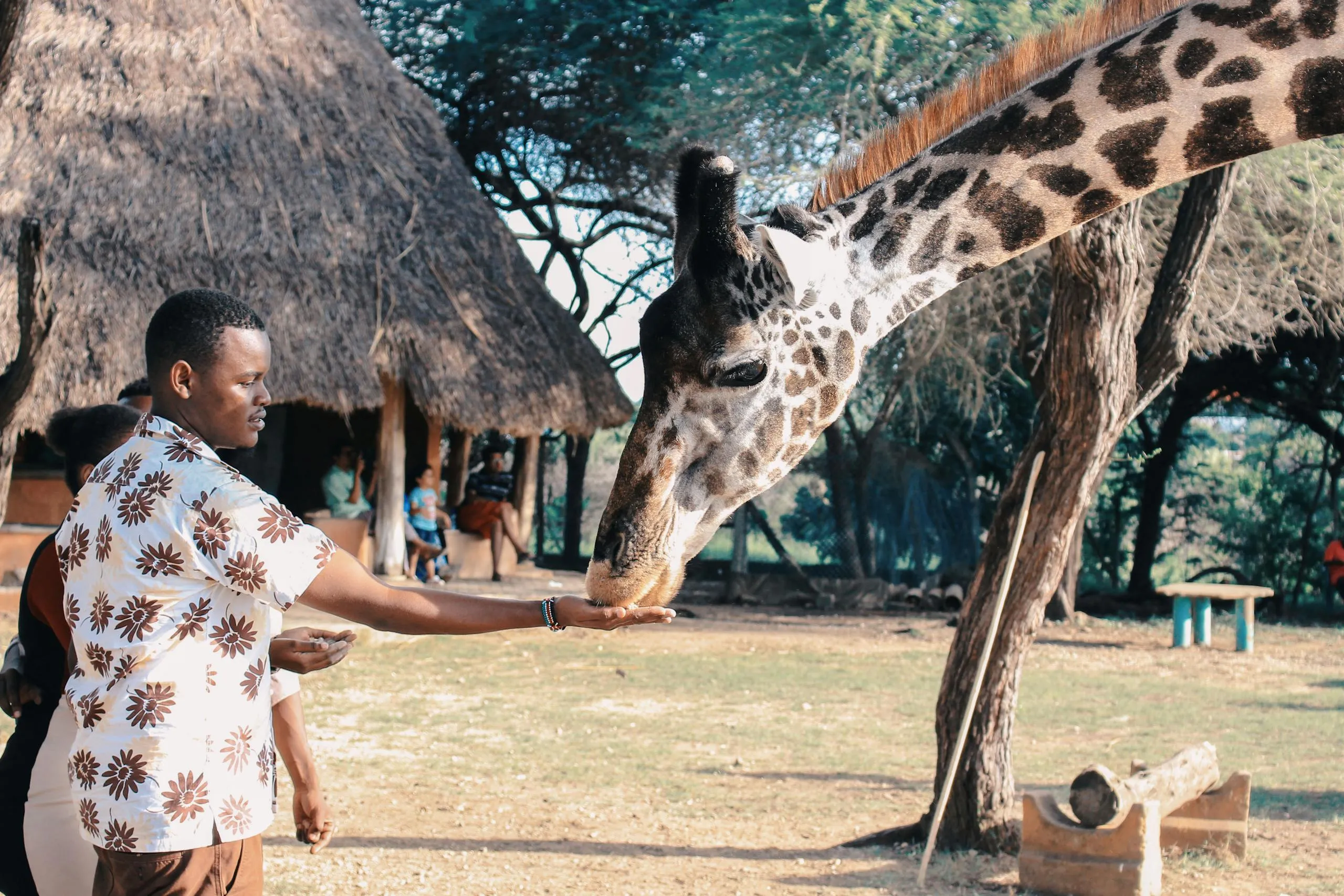 Best Places to Visit in Africa