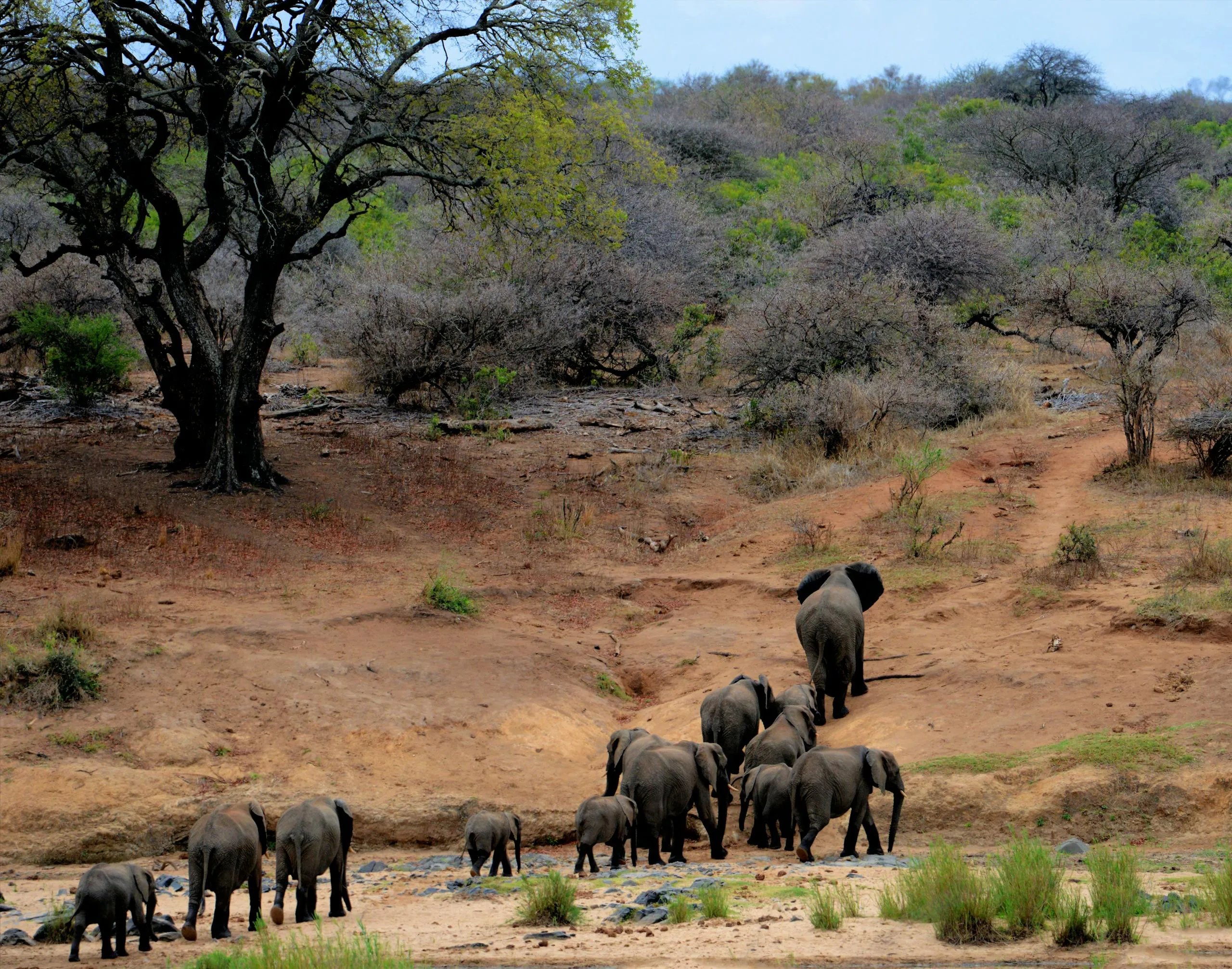 best places to visit in africa