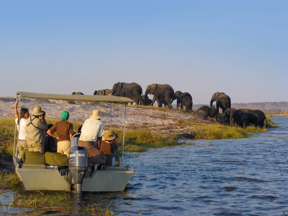 best safari places to visit in Africa