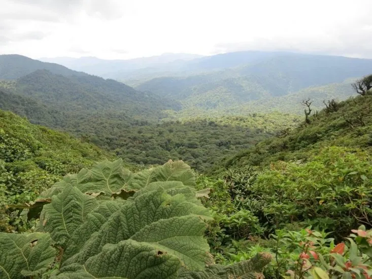 Solo Travel in Costa Rica