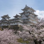 Solo Travel Guide to Japan