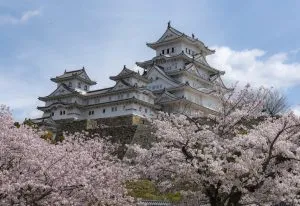 Solo Travel Guide to Japan