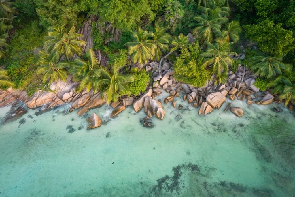Favorite Beach in the Seychelles