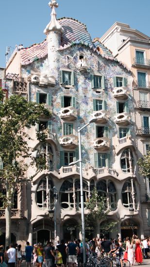 Explore the unique architecture of Casa Batlló, Antoni Gaudí's stunning work in the heart of Barcelona.